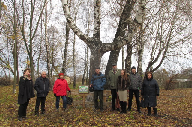 Береза тризуб