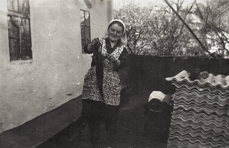 сканирование0015