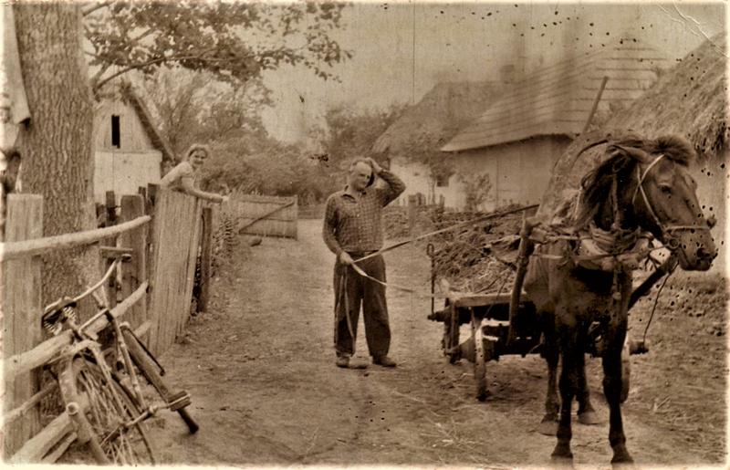 сканирование0021